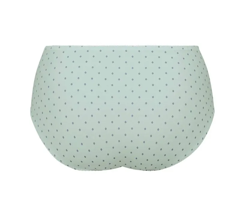 Anita Belvedere High Waist Brief in Princess Blue-1
